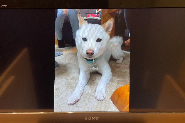 有縁の箱でお預かりした御遺骨の写真