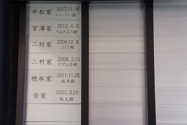 ペットのお名前、ご命日を記載したプレート